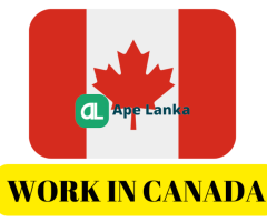 Working Opportunities in Canada