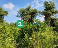 Land for Sale in Atigala , Homagama