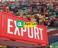 Export consultation for any kind of Sri Lankan product