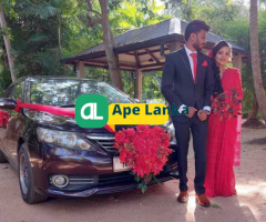 Wedding cars For Hire|Rent