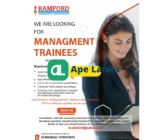 Management Trainess - Business Development
