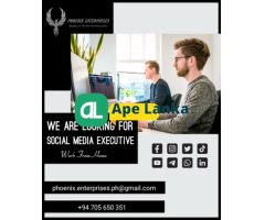 Social Media Executive