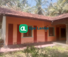 House with a Garden For Sale in Kurunegala
