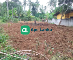 Best Price Very good residential / agricultural land to sale in Kiriwaththuduwa ,